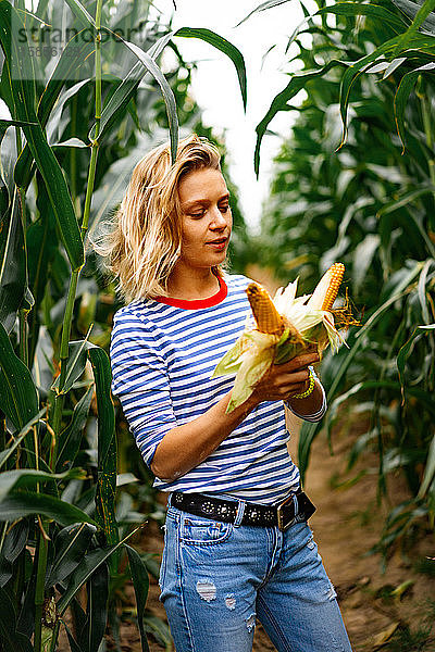 Junge Frau in ausgezogenem Veshemd in einem Maisfeld  die den Mais aufhebt.