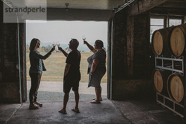 Drei Freunde stoßen bei einer Weinprobe auf einem lokalen Weingut an.