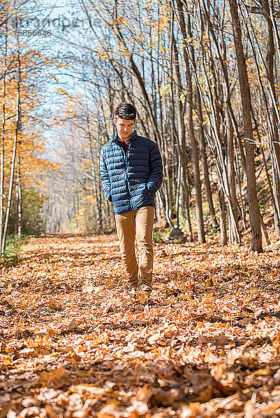 Teenager  der an einem Herbsttag allein durch den Wald spaziert.