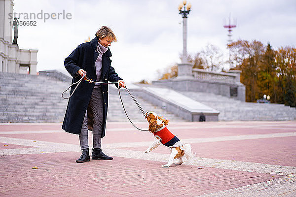 Eine Frau spielt mit einem Cavalier King Charles Spaniel im Freien.