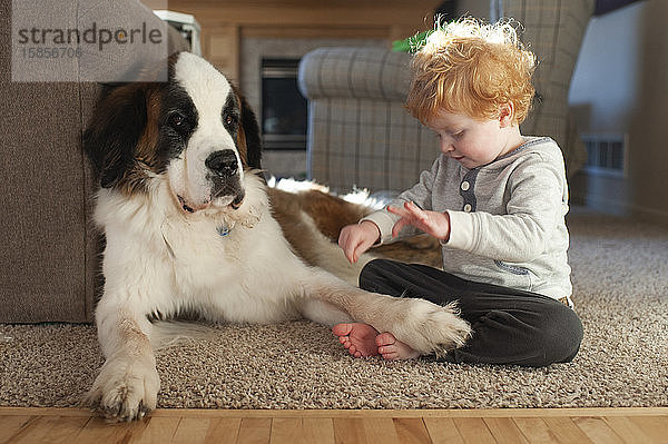 Kleinkind spielt mit Hundefuss auf dem Boden mit Hund  der verärgerte Gesichter macht