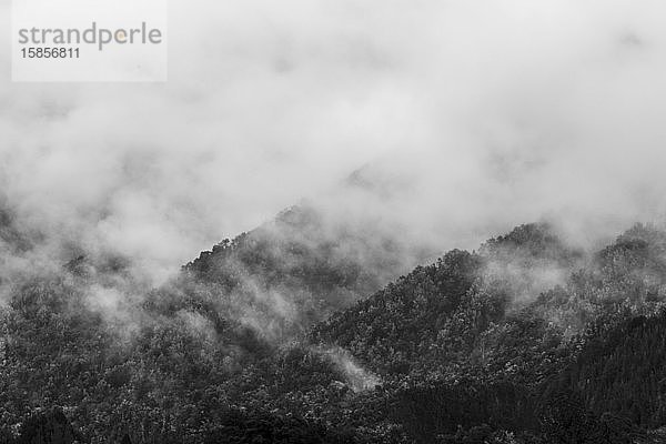 Nebel und Wolken steigen von baumbestandenen Bergen in Neuseeland auf