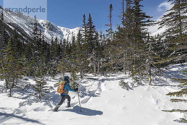 Eine junge Frau wandert an einem sonnigen  verschneiten Wintertag in den White Mountains von New Hampshire.