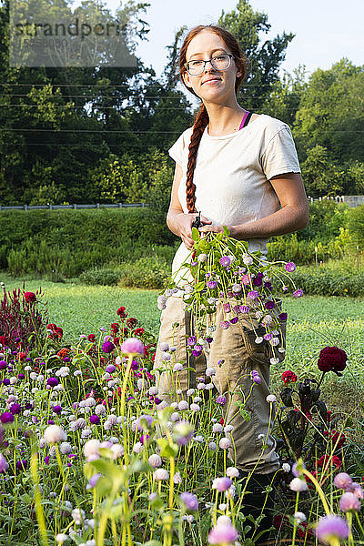 Junge Frau mit langem roten Zopf hält frisch geschnittene Blumen im Feld