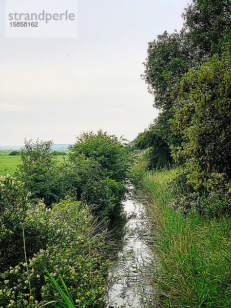 Ein Bach  der entlang eines Feldes an der Küste von Norfolk fließt