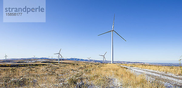 Windturbinen in einem Feld mit blauem Himmel