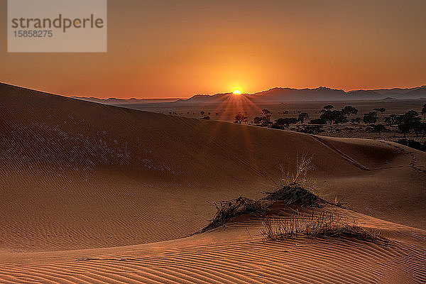 Sonnenuntergang auf Dünen im Namib Rand  Namibia