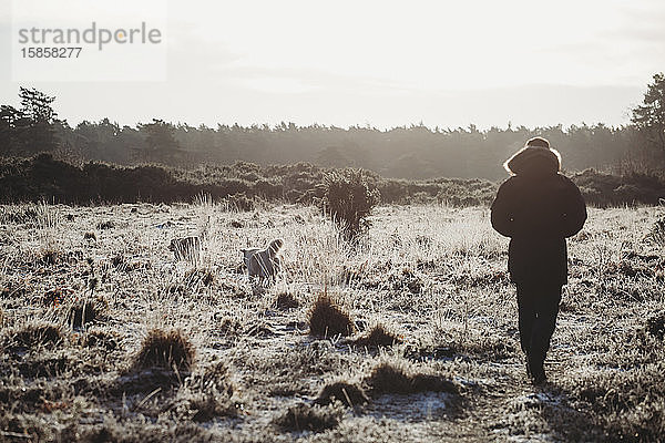 Rückansicht eines Mannes  der an einem kalten Morgen mit zwei Hunden auf dem Land spazieren geht