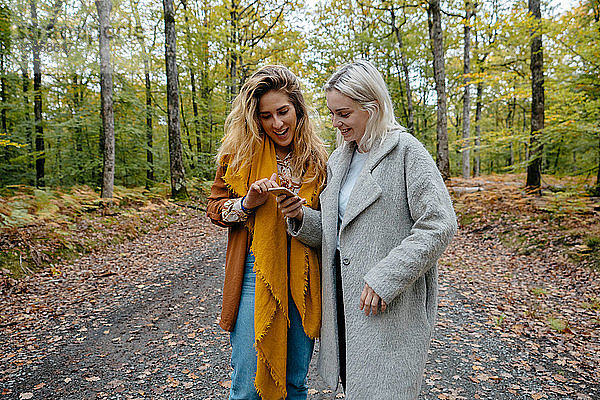 Frauen sehen sich ein Streaming-Video in einem abgelegenen Wald auf einem Smartphone an