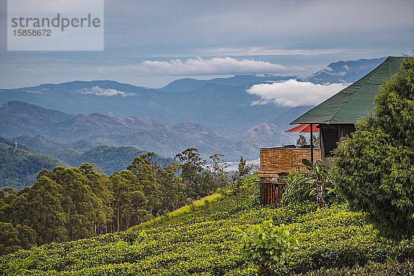 Luxus-Lodge auf einer Teeplantage im Hochland von Sri Lanka