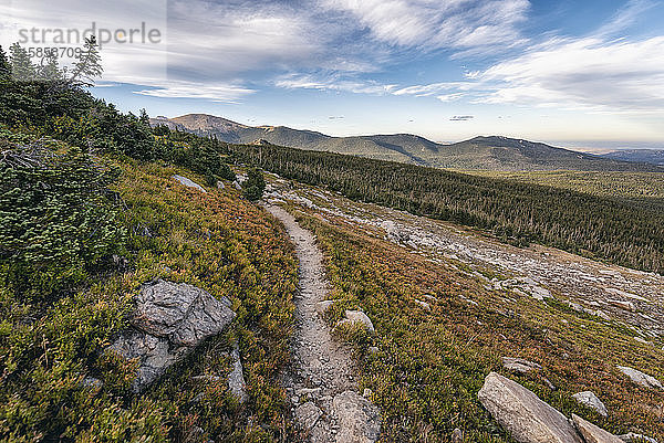 Wanderweg in der Wildnis der Indian Peaks