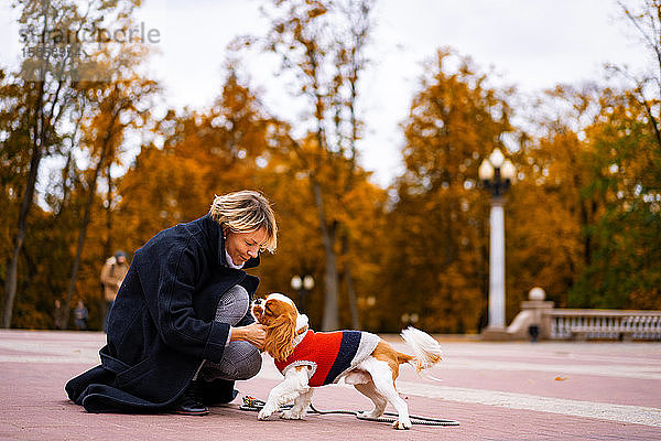 Eine Frau geht mit einem Cavalier King Charles Spaniel im Park spazieren.