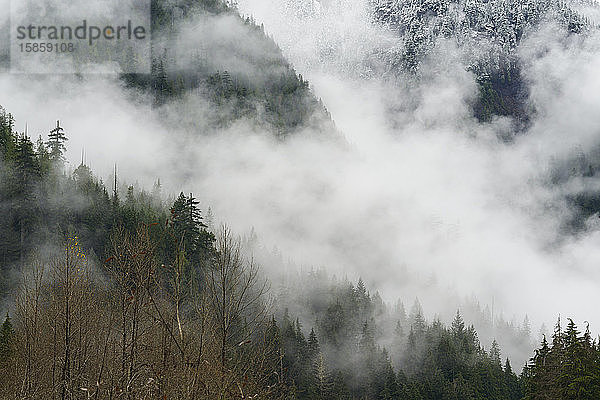 Niedrige Wolken und Nebel rollen durch die Kaskadenberge