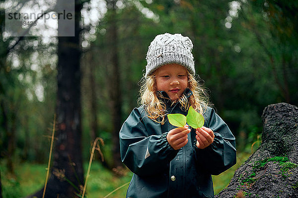 Gelocktes Mädchen mit grauem warmen Hut hält grüne Blätter im Wald