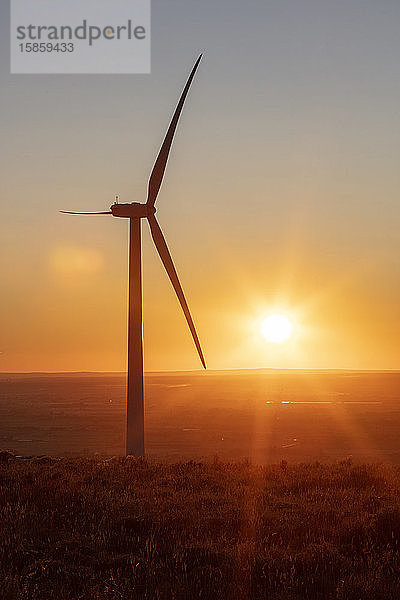 Windturbinen auf dem Feld bei Sonnenuntergang