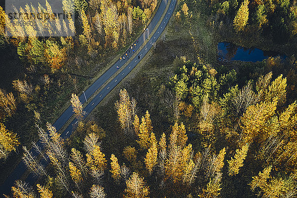 Straße mit Menschen im Herbstwald