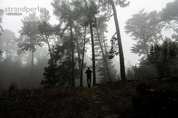 Silhouette einer Figur zwischen einem Wald von Bäumen auf einem nebligen kalifornischen Pfad