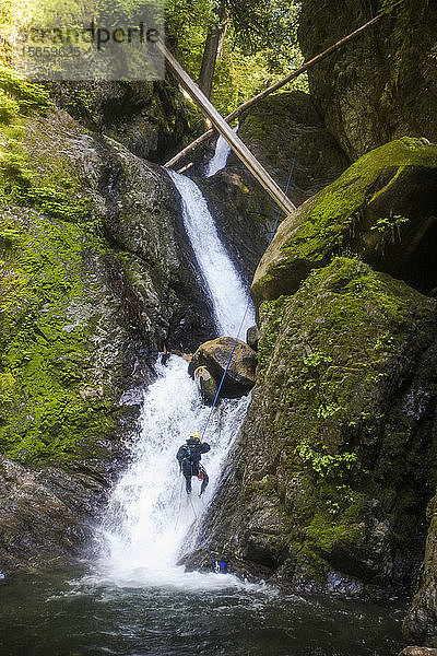 Mann seilt eine Reihe von Wasserfällen im Frost Creek Canyon ab.