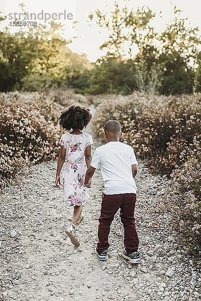 Hinteransicht von Bruder und Schwester  die sich an den Händen halten und in Blumen laufen