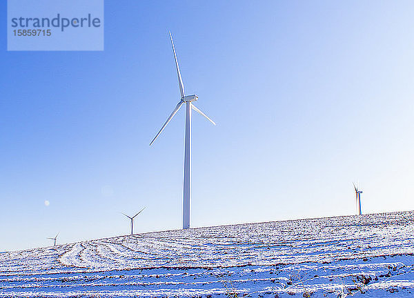 Windturbinen in einem schneebedeckten Feld mit blauem Himmel