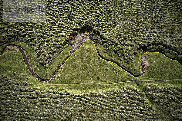 Luftbildlandschaft eines gewundenen Trockenflusses auf der grünen Wiese