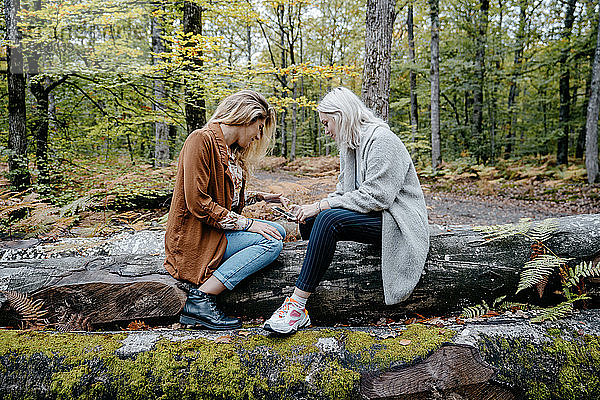 Frauen mit Mobiltelefonen in einem abgelegenen Wald