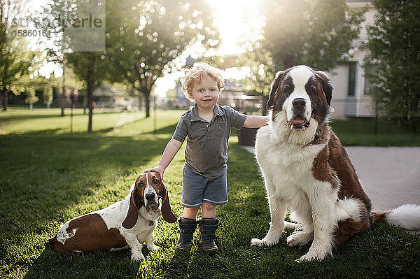 Kleinkind Junge im Gras stehend mit 2 Hunden im Hinterhof in ziemlich hellem Licht