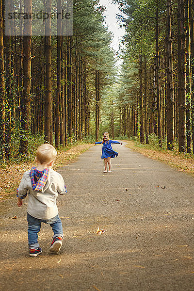 Zwei kleine Kinder spielen zusammen auf einem Pfad in einem Kiefernwald im Sonnenlicht
