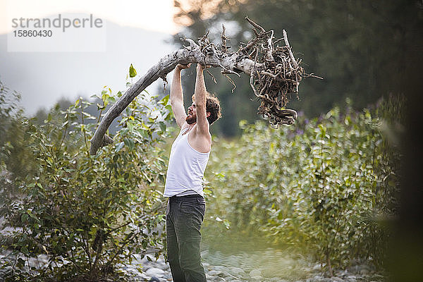 Athletischer Mann drückt mit der Schulter auf einen umgefallenen Baum im Freien.
