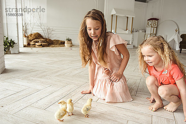 Kinder spielen zu Ostern mit Enten