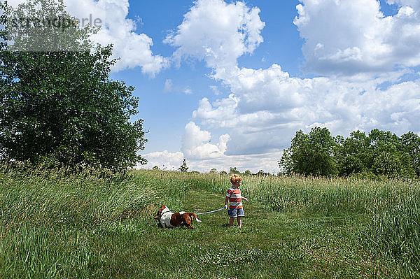 Kleinkind Junge Spaziergang mit Dachshund Hund im Feld im Freien