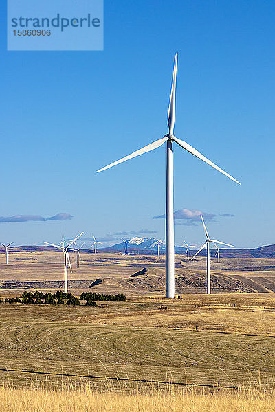 Windturbinen in einem Feld mit blauem Himmel