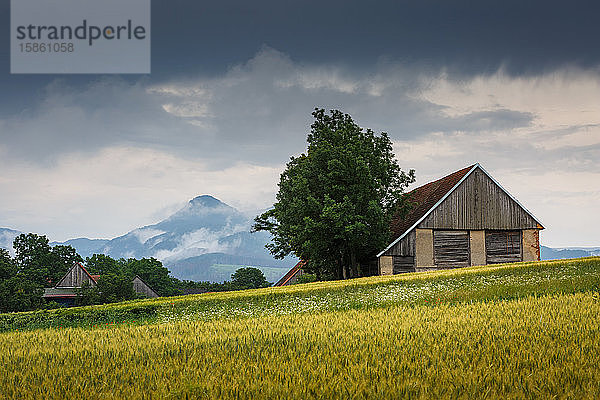 Felder und traditionelle Scheunen in der Region Turiec in der Mittelslowakei.