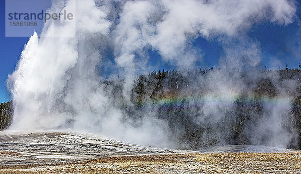 Old Faithful strahlt Dampf aus  wenn ein Regenbogen erscheint