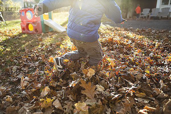 Leiche eines Kindes  das im Herbst draußen in einem Haufen heruntergefallener Blätter spielt