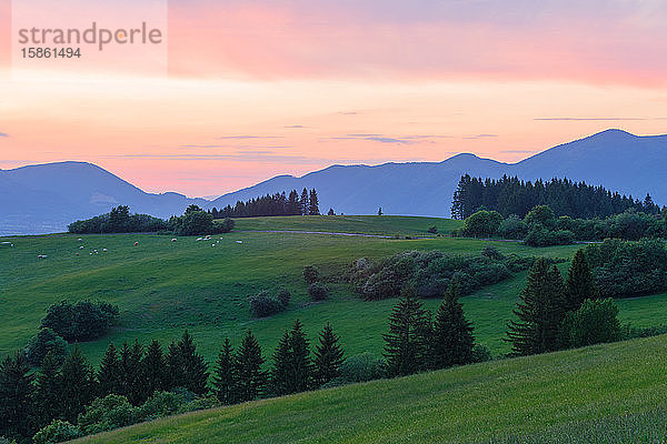 Ländliche Landschaft der Region Turiec an den Ausläufern der Velka Fatra.