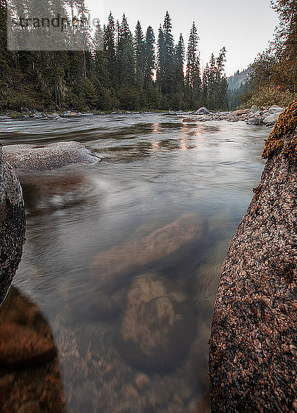 Selway-Fluss im Nez-Perce-Nationalwald  Idaho