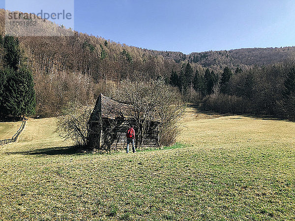 Alte verlassene Holzhütte im Wald