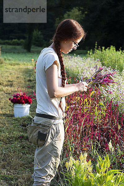 Junge Frau mit langer roter Haarspitze schneidet Blumen im Garten