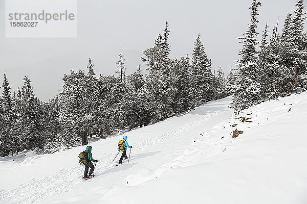 Schneeschuhläufer wandern auf schneebedeckter Straße zum Squaw Mountain Lookout  Colorado