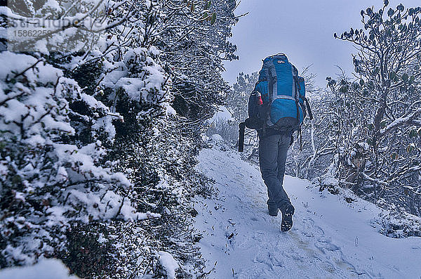 Wanderer  der nach heftigen Schneefällen im Himalaya durch einen verschneiten Pfad wandert