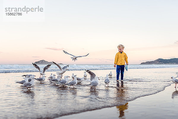 Lächelndes Kind mit Möwen am Strand in Neuseeland