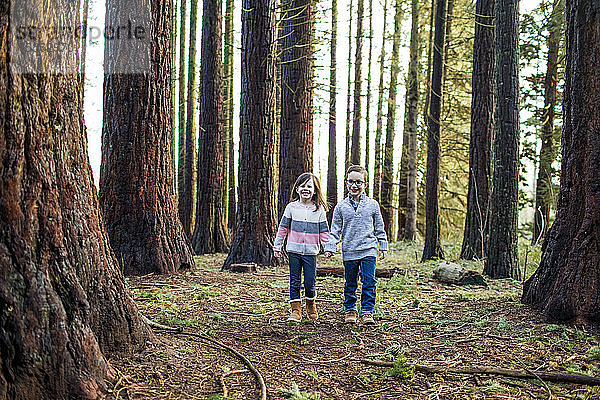 Jungen und Mädchen  die durch den Wald im Park spazieren.