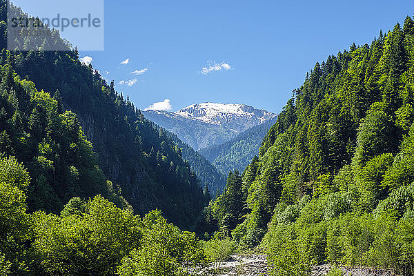 Fluss Patara Enguri  Region Samegrelo-Zemo Svaneti  Georgien