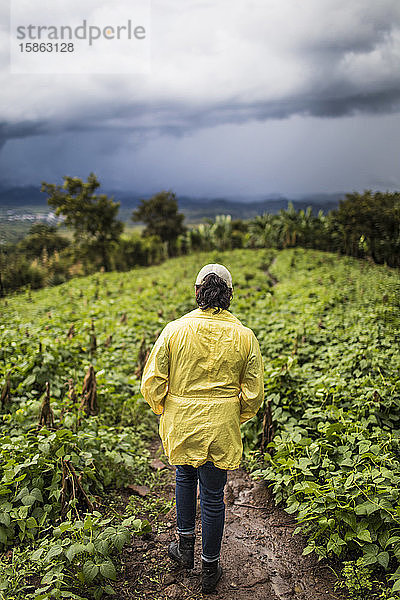 Rückansicht einer jungen Frau  die durch einen üppigen Berghang in Guatemala wandert.