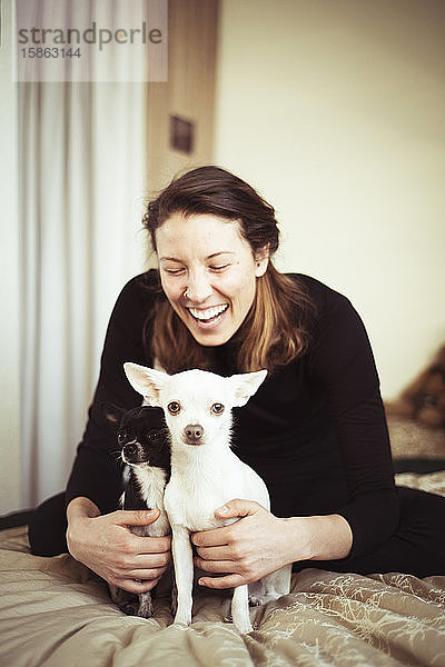 Junge Frau lacht zu Hause mit zwei Chihuahua-Hunden in warmem Licht