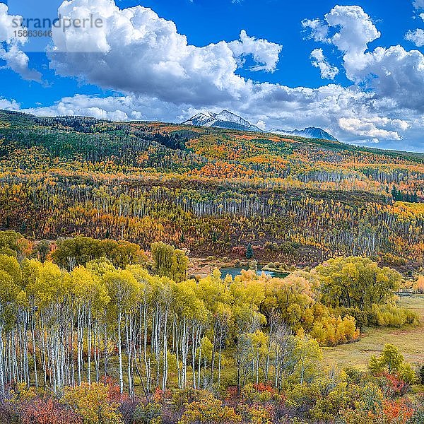 Wald und Schneeberge im Herbst in Colorado