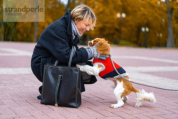 Eine Frau geht mit einem Cavalier King Charles Spaniel im Park spazieren.