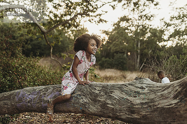 Glückliches Mädchen im Schulalter sitzt auf einem Baum im Feld