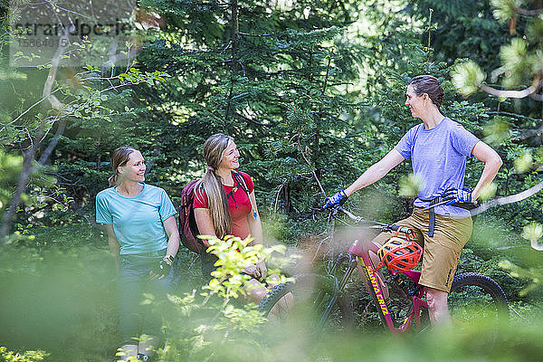Drei Freundinnen mit dem Mountainbike auf einem Wanderweg am Mt. Hood  Oregon.